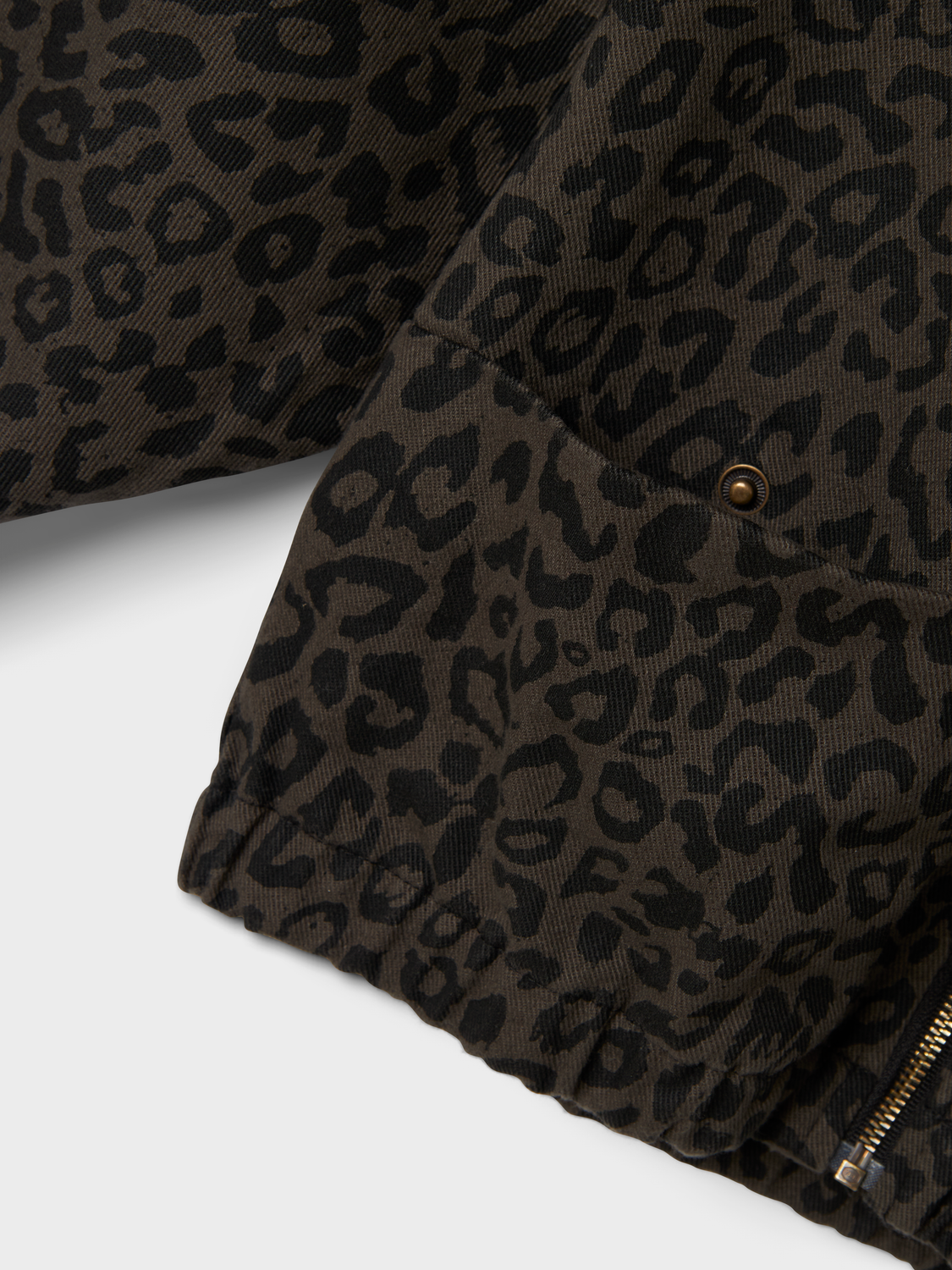 model_shot-front_full